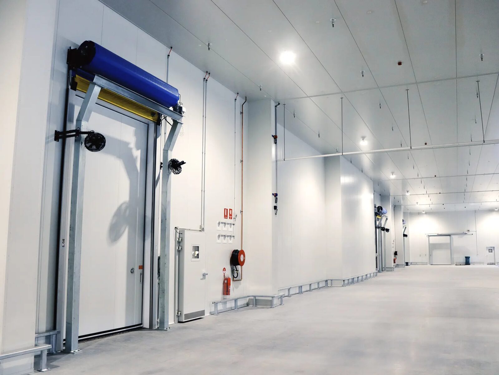 Interior of a finished walk-in commercial coolroom built by Select Coolrooms & Construction, insulated panel walls and ceiling